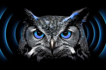 Silent precision for uncompromising process reliability | 03-24-2026