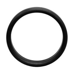 Seal Ring high Version DIN 11851 DIN