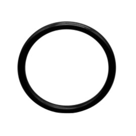 O-Ring DIN 11864 ISO