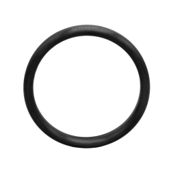 Dichtring